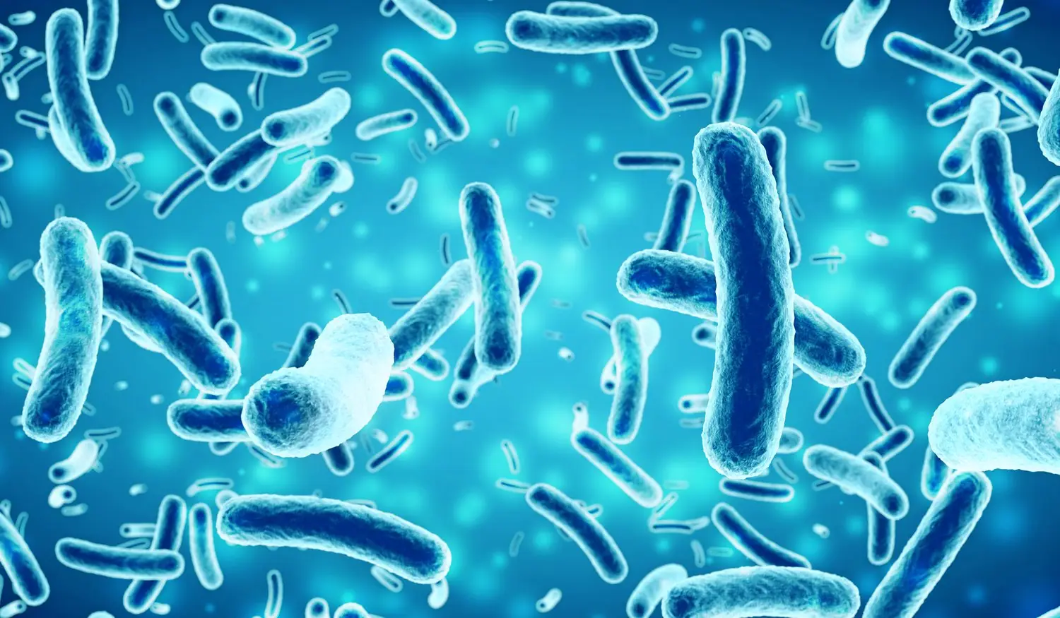Microbiom jelitowy: Wpływ na zdrowie psychiczne i fizyczne