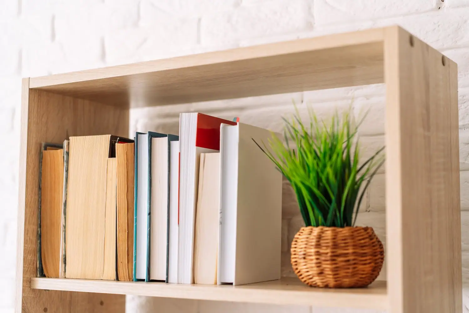 Jak zorganizować domową biblioteczkę? Systemy przechowywania książek