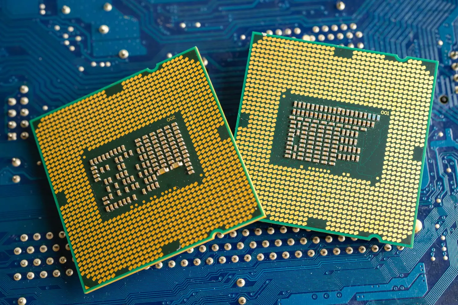 Czym różni się procesor Intel od AMD? Porównanie wydajności dla domowych użytkowników